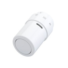 013G6070 RAX Valve Thermostatic sensor element RAL 9016 White
