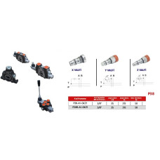 P38-A1-GKZ1 Sectional Control Valve 3/8"